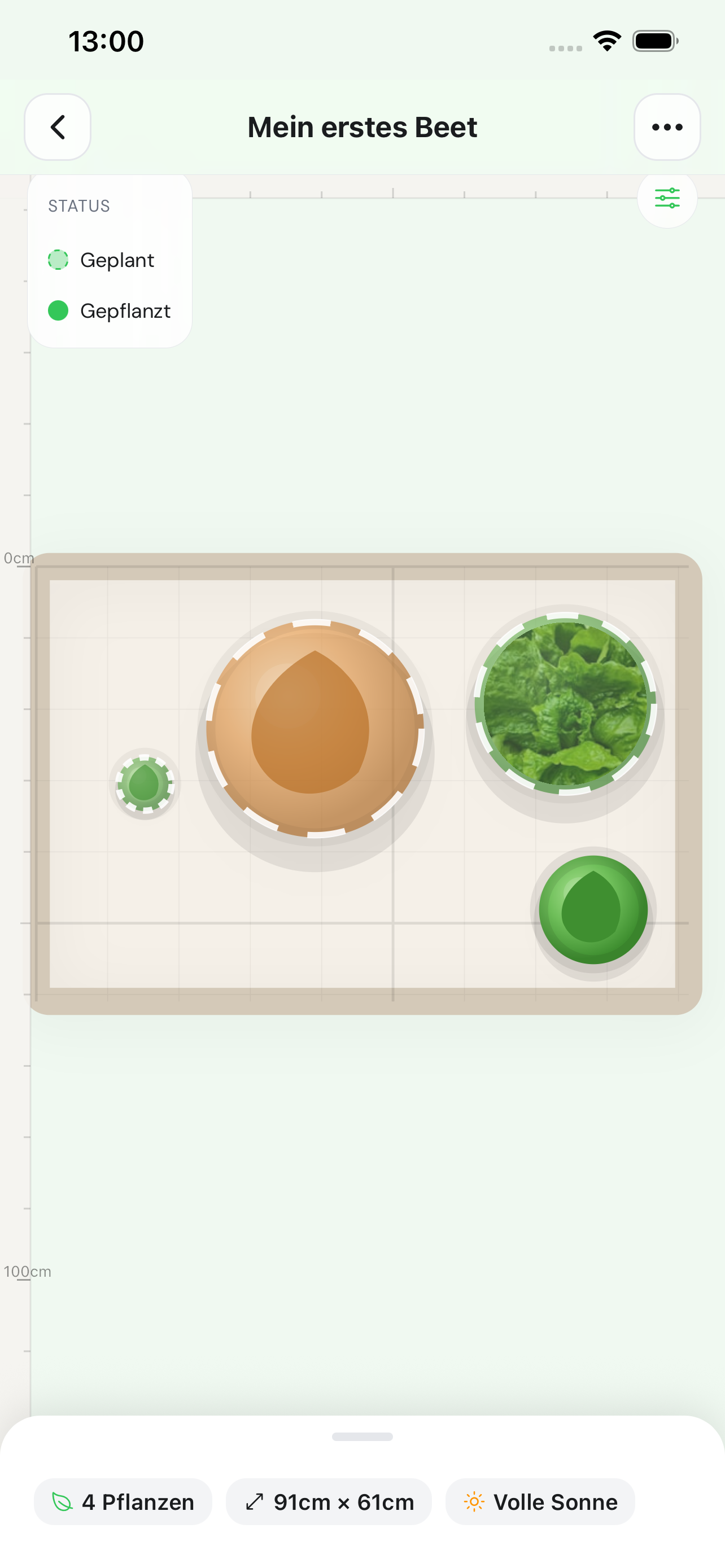 Veridan bed plan with plants and spacing