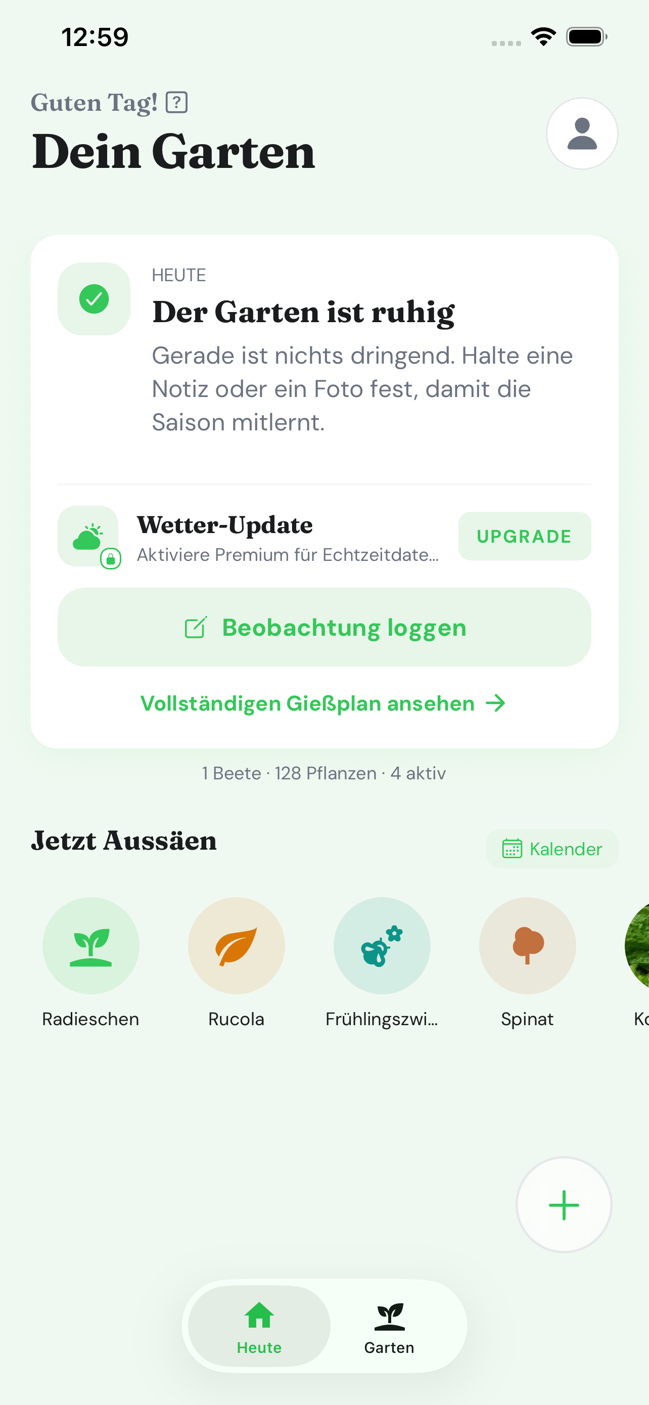 Veridan today view with garden tasks