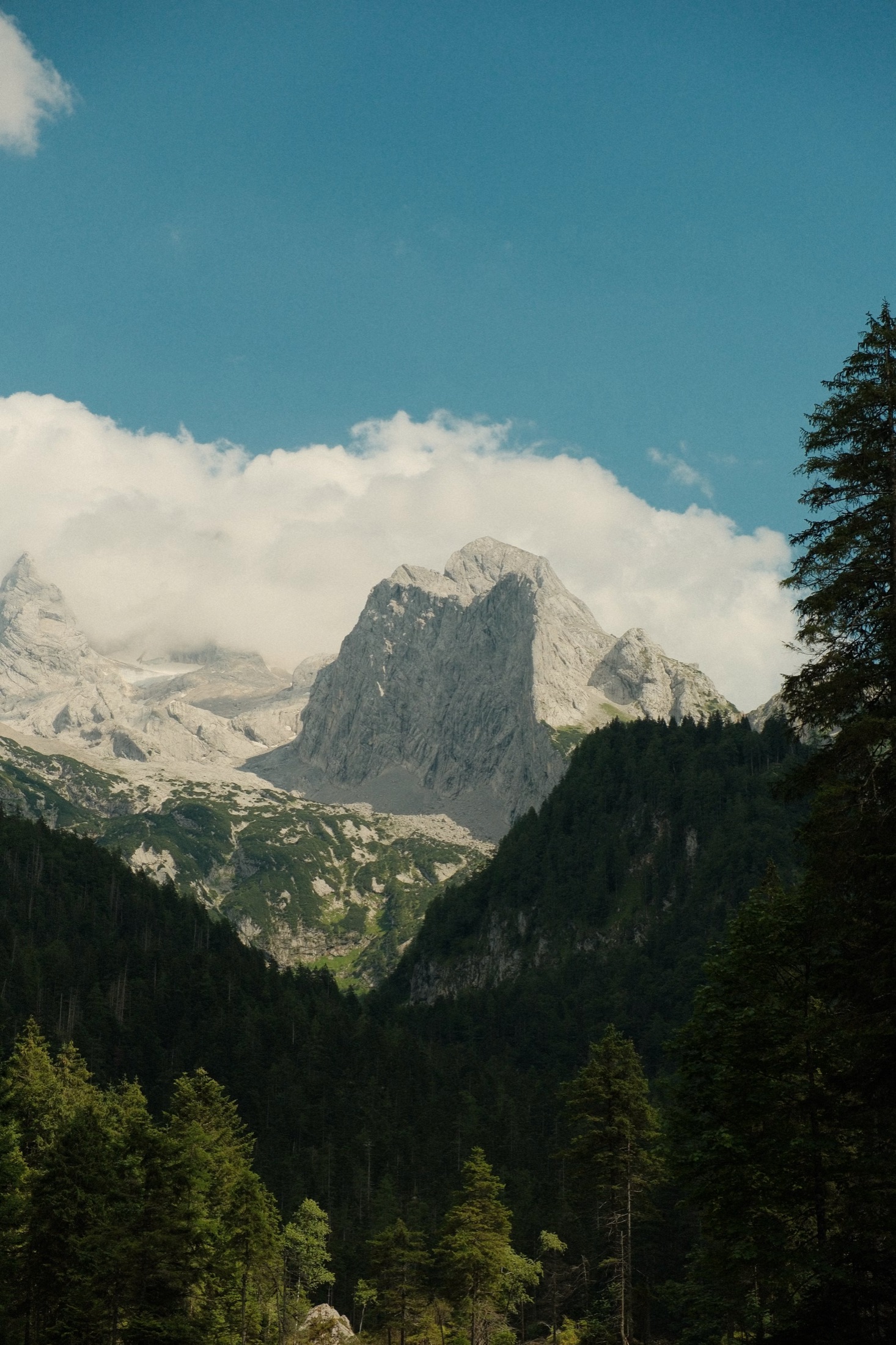 Alpine panorama